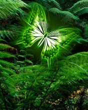 Green glowing butterfly